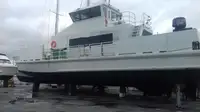 Catamarano in vendita