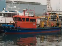 Barche da lavoro in vendita
