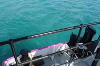 General Cargo/Multi-purpose in vendita