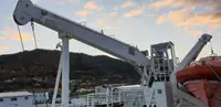 Trasportatore di merci sfuse in vendita