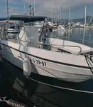 Nave da crociera in vendita