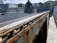 Trasportatore di merci sfuse in vendita