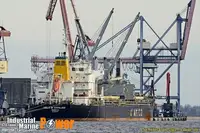 Trasportatore di merci sfuse in vendita