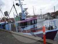 Trasportatore di pesce vivo in vendita