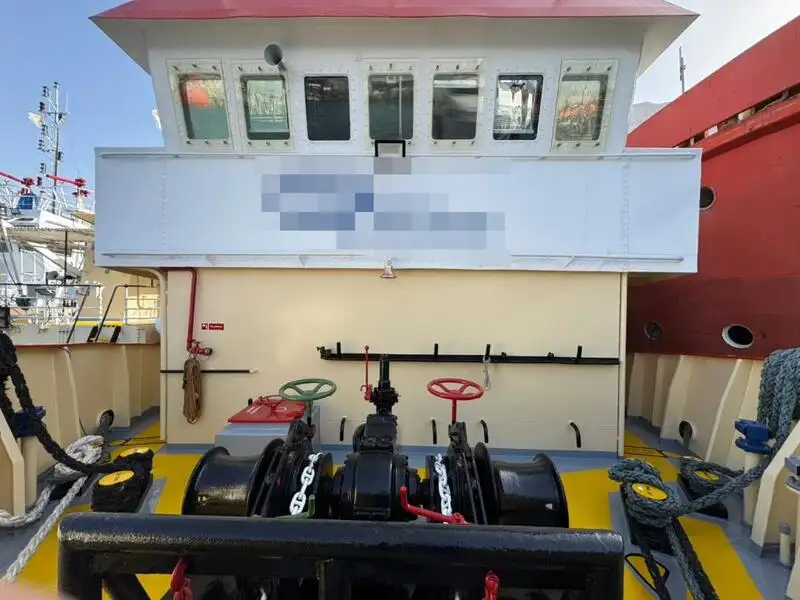 Portacontainer in vendita