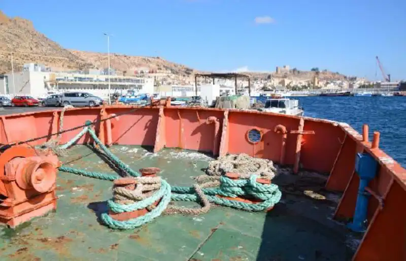 Portacontainer in vendita