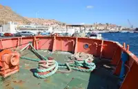 Portacontainer in vendita
