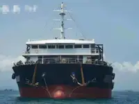 Trasportatore di merci sfuse in vendita
