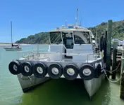Catamarano in vendita