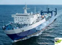 Ro-Ro ship in vendita