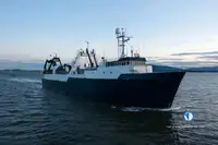 Trawler in vendita