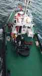 Rimorchiatore in vendita