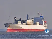 Nave refrigerata in vendita