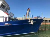 Imbarcazioni da lavoro in vendita