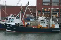 Trawler in vendita