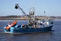 Purse seiner in vendita