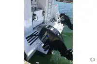 Catamarano in vendita