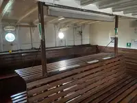 Nave da crociera in vendita