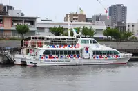 Nave passeggeri in vendita