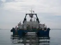 Multiuso in vendita