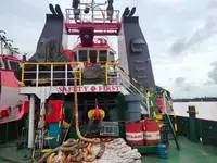 Rimorchiatore in vendita