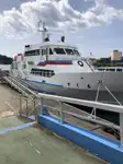 Trasportatore di merci sfuse in vendita