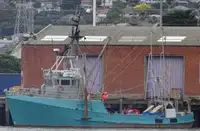 Trawler in vendita