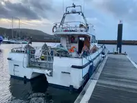 Catamarano in vendita