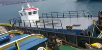 Imbarcazioni da lavoro in vendita