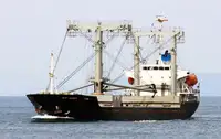 Portarinfuse in vendita