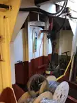 Draghe in vendita