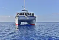 Rimorchiatore in vendita