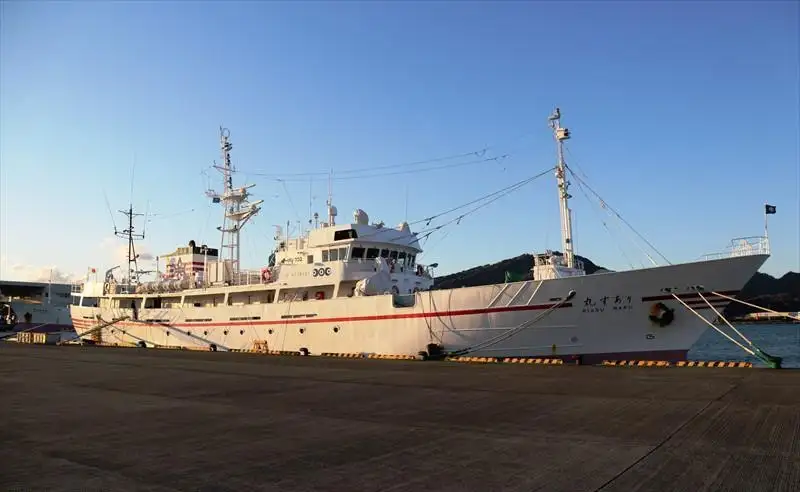 Nave da rilevamento in vendita