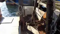 Peschereccio a strascico in vendita