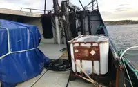 Peschereccio a strascico in vendita