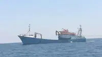 Portacontainer in vendita