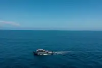 nave da ricognizione in vendita