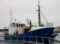 Trawler in vendita