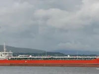 Petroliera/Chimichiera in vendita