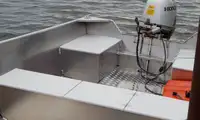 Barche da lavoro in vendita