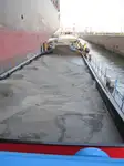 Chiatta in vendita