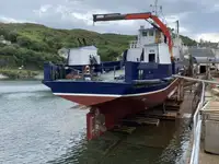 Barche da lavoro in vendita