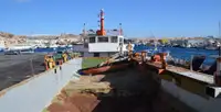 Portacontainer in vendita