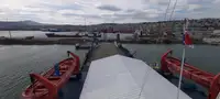 Trasportatore di merci sfuse in vendita