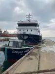 Purse seiner in vendita