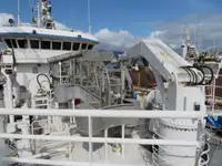 Peschereccio a circuizione in vendita