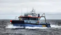 Portacontainer in vendita