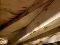 Nave traghetto in vendita