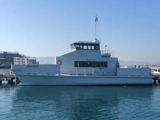 Catamarano in vendita