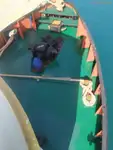 Rimorchiatore in vendita